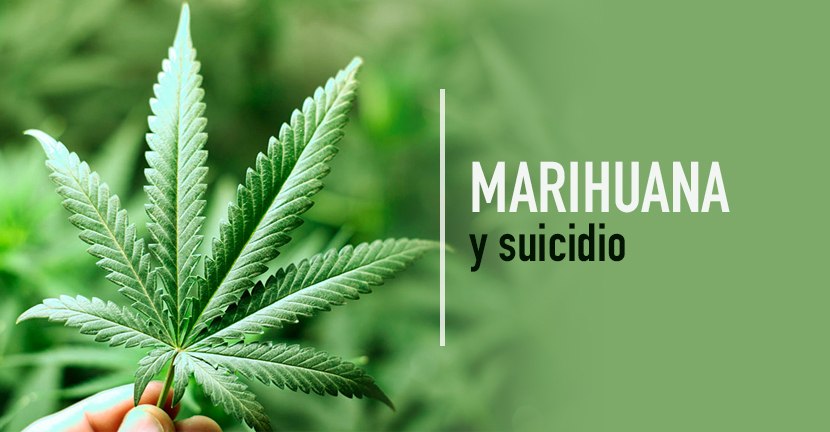 Marihuana y suicidio
